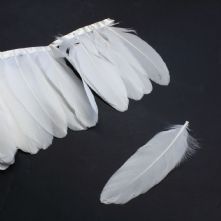 Ivory Goose Coquallie Feathers